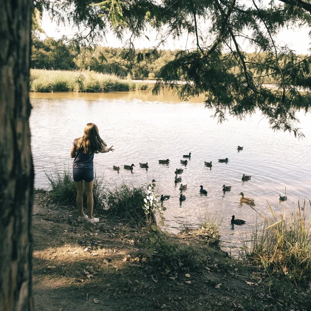 Etang de Sologne