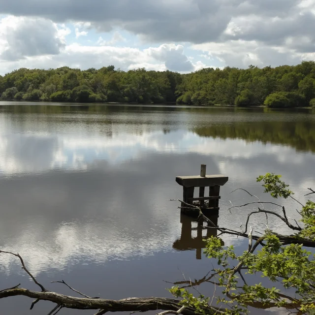 Etang de Sologne