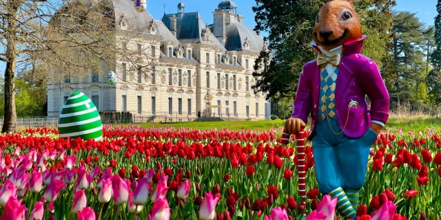 Chateau de cheverny Tulipes à Pâques