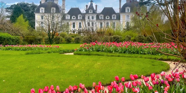 Les Tulipes du château de Cheverny