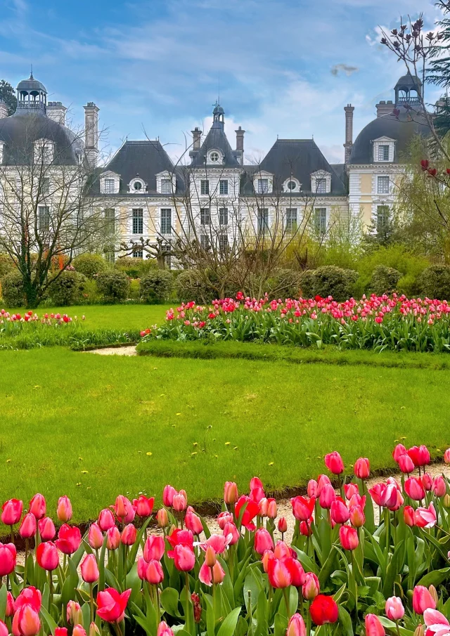 Les Tulipes du château de Cheverny