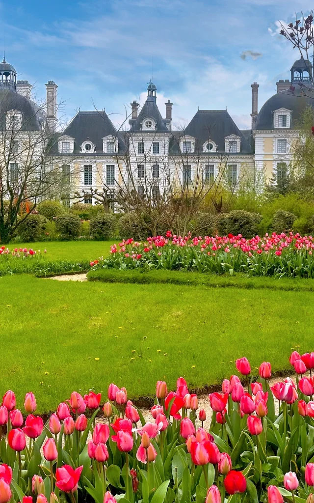 Les Tulipes du château de Cheverny